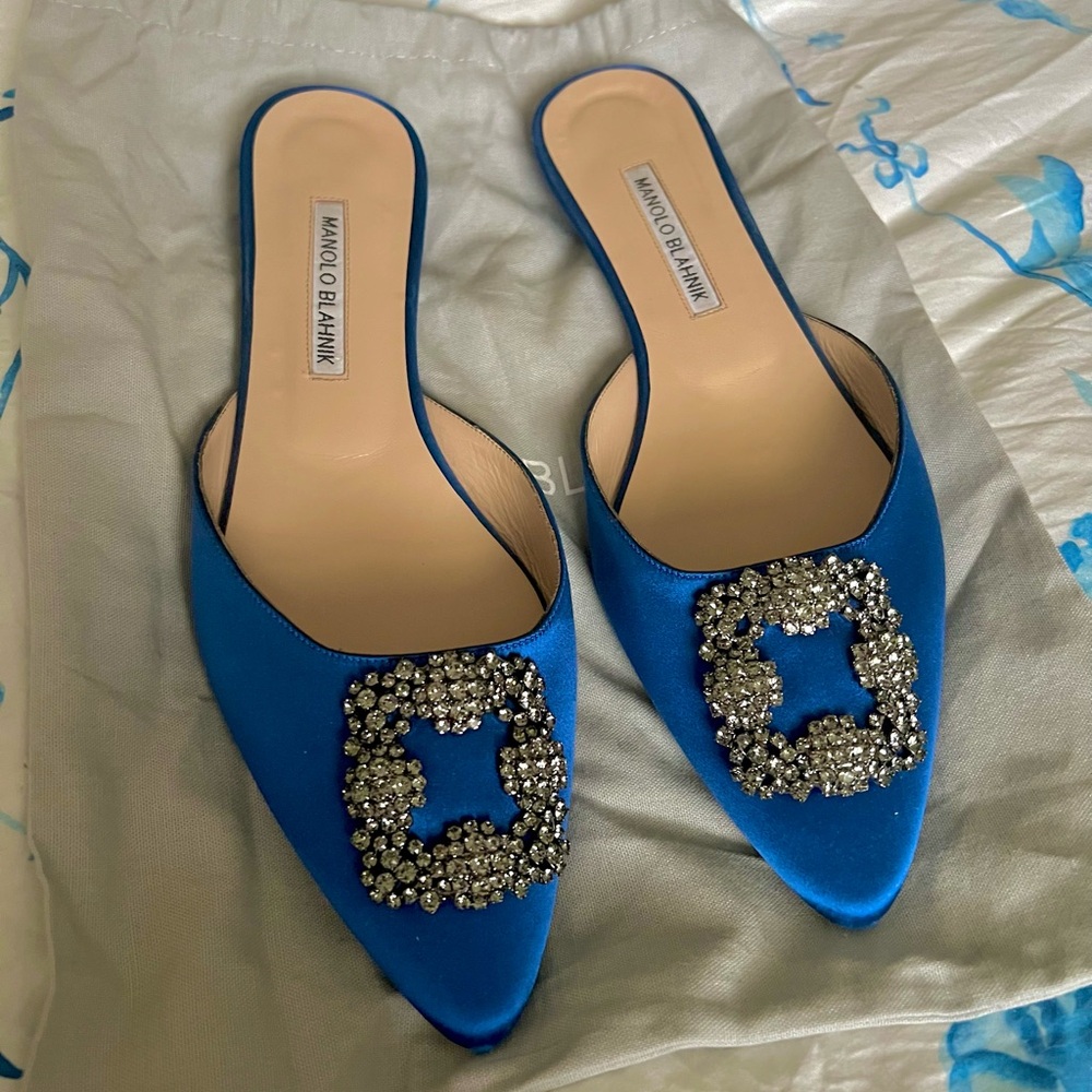 Manolo Blahnik Hangisi Blue Mules 40